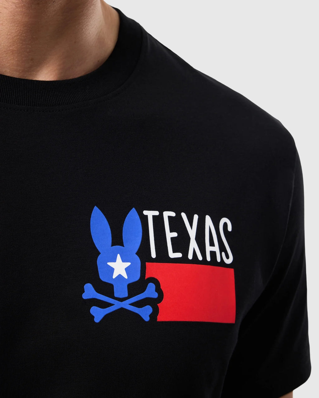 Premium MENS TEXAS CITY TEE - B6U553W1PC
