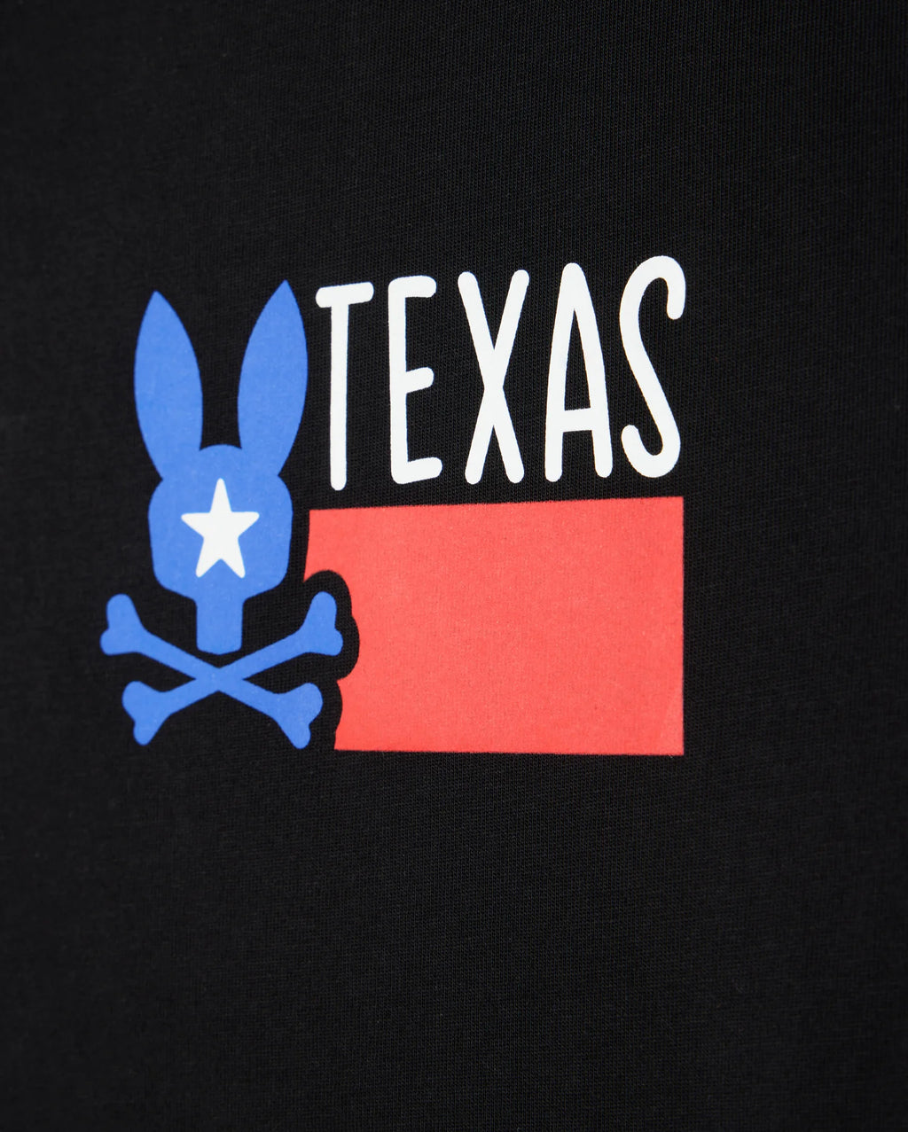Premium MENS TEXAS CITY TEE - B6U553W1PC
