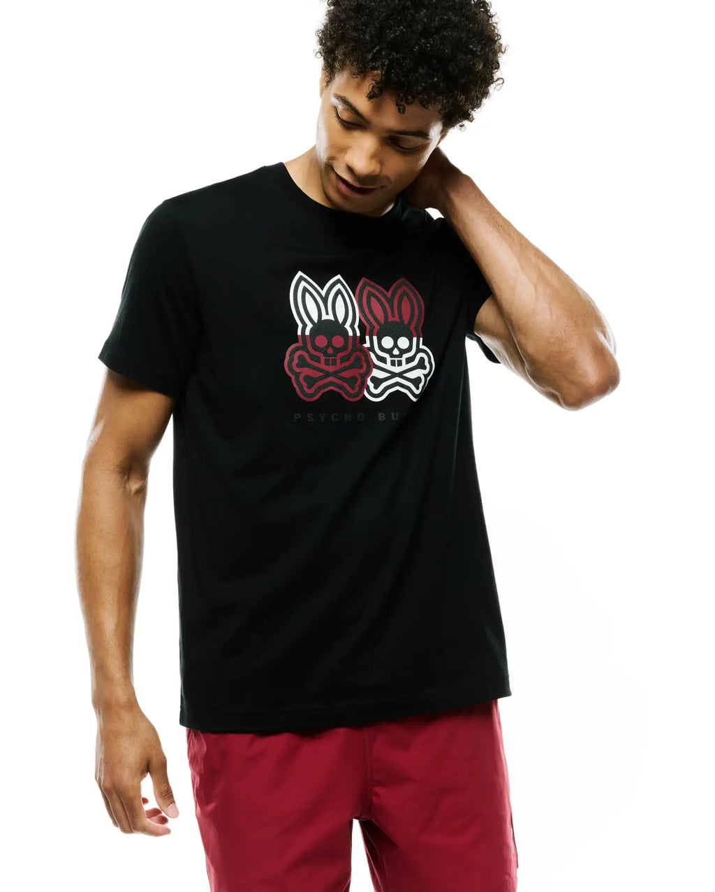 Premium MENS LEDGER GRAPHIC TEE